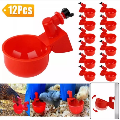 12x chicken automatic - automatic, watering