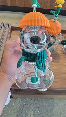 Hot 2026 starbucks - starbucks, snoopy