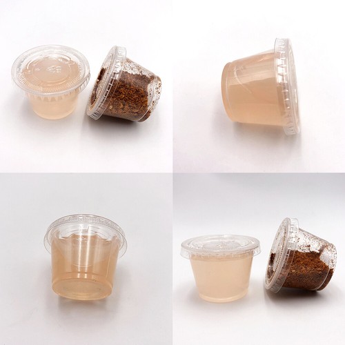 500 pack disposable oz - us, 1