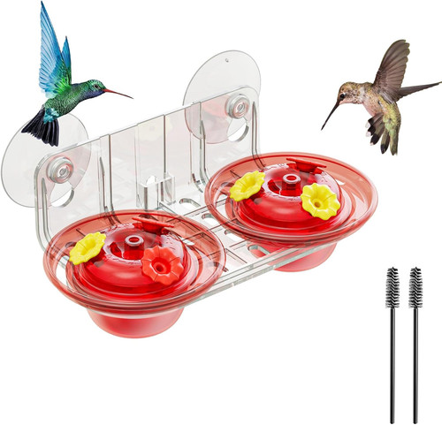 Window hummingbird feeder with - hummingbird,