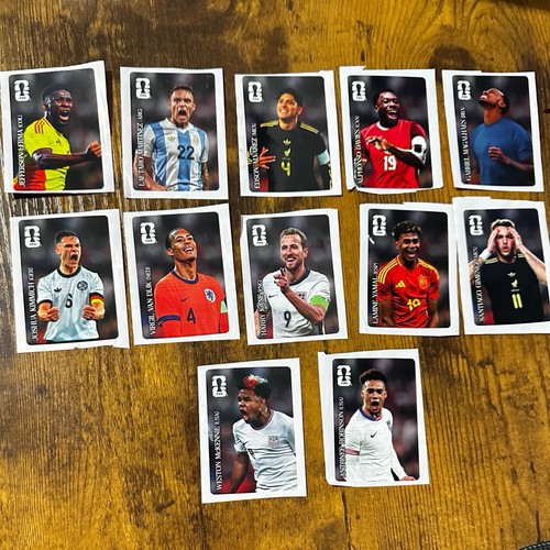 Panini fifa world cup - fifa,